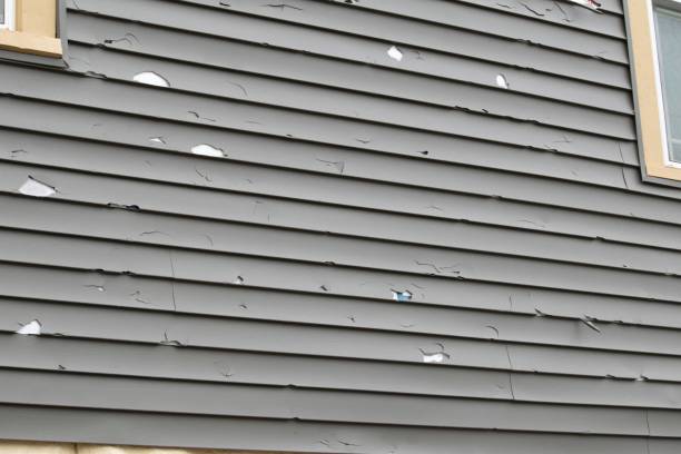 Best Construction Debris Removal  in Morganfield, KY